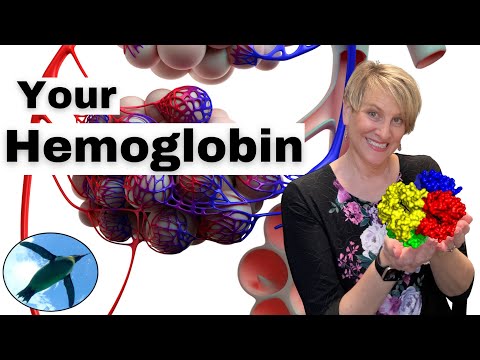 Your HEMOGLOBIN 🐧🩸🩸🐧