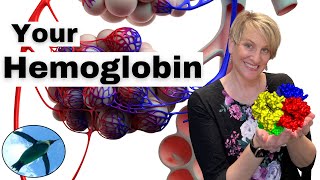 Your HEMOGLOBIN 🐧🩸🩸🐧