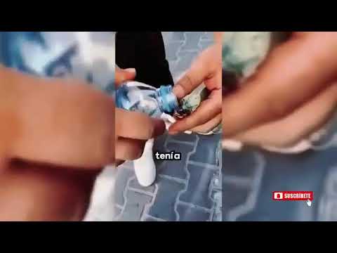 Transmisión en vivo de Noticias Rescate Animal