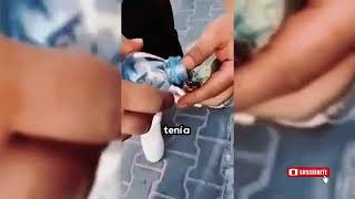 Transmisión en vivo de Noticias Rescate Animal