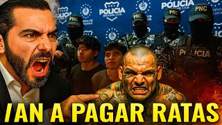 Capturan a Responsables del As3sinato de una Niña de 14 Años en Soyapango