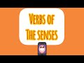 Verbs of the Senses Usage