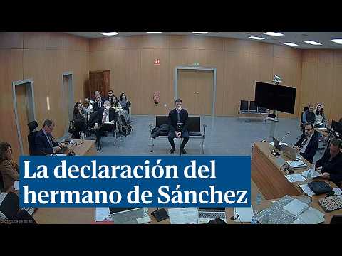 Los momentos más destacados de la declaración del hermano de Pedro Sánchez