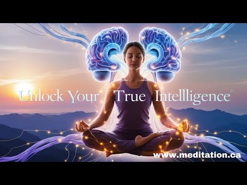 The Growth Indicators of Meditators - Growth of Intelligence