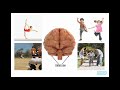 Exploring the Human Body: Systems and Senses