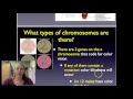 Genetics and Inheritance Concepts