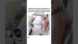 белочка подкармливает человека