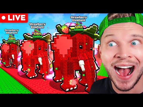 Mon Premier Strawberry Elephant + TACOS TUESDAY !