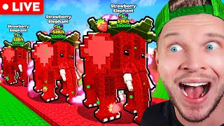 Mon Premier Strawberry Elephant + TACOS TUESDAY !