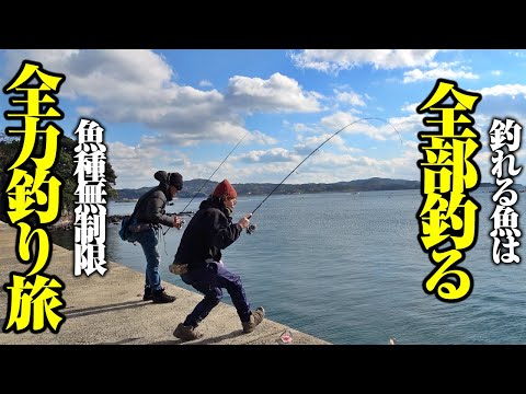 釣りバカ2名による全力釣り旅！！手段問わず本気で釣りしたら…大アジ、青物、怪魚。尋常ではない魚種数になった件。堤防から磯まで全部釣る！！