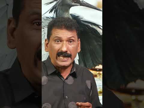 ഒരു അടിപൊളി മീൻ പിടുത്തം | BS Chandra Mohan Mlife Daily