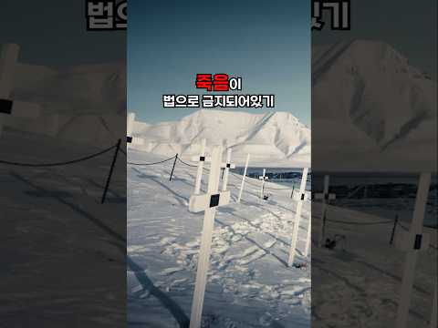 세계에서 유일하게 죽음과 고양이가 금지된 마을
