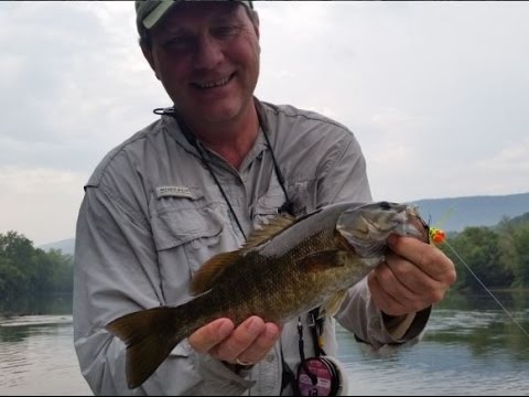 New Bass Fly Fishing Technique - Waterfalls Lodge - The New Fly Fisher