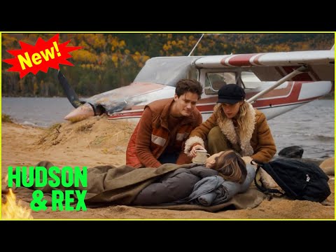 Hudson & Rex New 2024 | Lost and Found | Hudson & Rex New Episodes 2024 Full HD