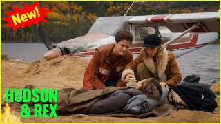 Hudson & Rex New 2024 | Lost and Found | Hudson & Rex New Episodes 2024 Full HD