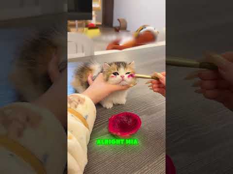 You look stunning right now! โจ๐๐ #shortvideo