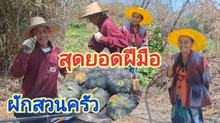 เซเว่น ตาชาน มีครบทุกสิ่ง