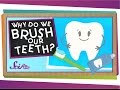 Understanding Dental Hygiene