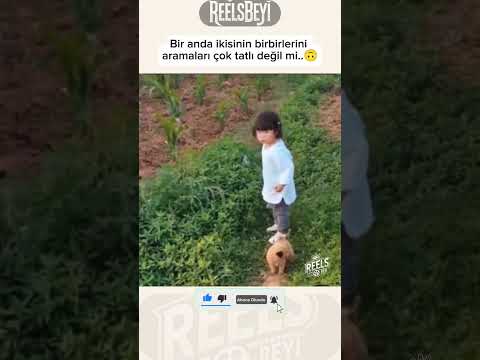 Çok tatlı değiller mi🤗 #reelsbeyi #shorts #viral