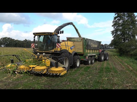 Mais hakselen door loonbedrijf Prenger met een New Holland FR650, T7.270 en 2 Case IH Optum (2024)