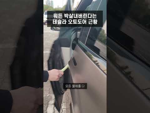 [200만뷰] 뭐든 박살내버린다는 테슬라 모델X 오토도어의 위험성 #모델X #테슬라 #테슬라모델X