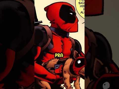 O Triste Cachorro do Deadpool... #deadpool #dogpool #wolverine #marvel #marvelcomics #hq #quadrinhos
