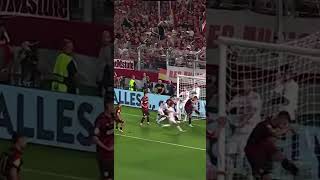 Florian Stritzel 🚫🧤