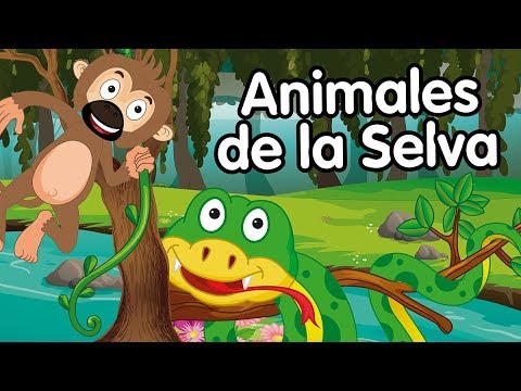 Animales de la selva - canciones infantiles
