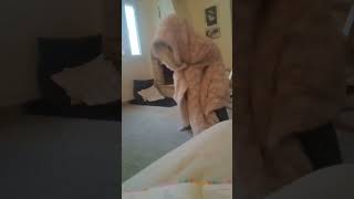 Amma become a furry guys. I guess voice reveal?
