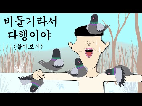 비둘기라서 다행이야 몰아보기 [비둘기라서 다행이야]