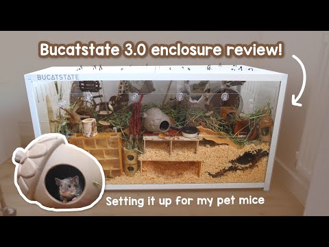 Is the NEW Bucatstate enclosure good? Setting it up for Mice