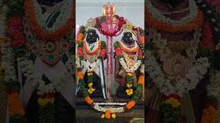 శ్రీ రుక్మిణి పాండురంగ స్వామి కళ్యాణోత్సవం || Vishnupuri, Palamaner #shorts