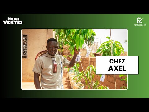 Mains Vertes chez Axel