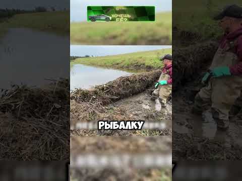Никто не знал что ОНИ всех спасли🤯🌳💥