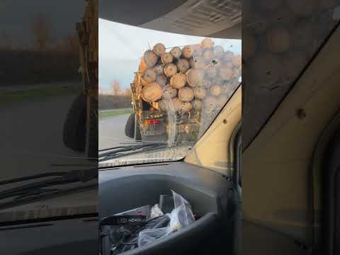 Від перегруза відпало колесо…