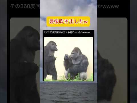 後からジワジワくるw #shorts #おもしろ #おすすめ #twitter