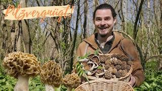 Morchel Wahnsinn zum Saisonauftakt 2026 😁 Frische Morcheln und Becherlinge so früh wie nie!