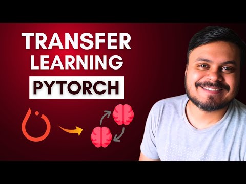 Transfer Learning using PyTorch | Video 12 | CampusX