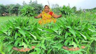 करेमुआ का साग | नारी का देशी साग गर्मागर्म चावल के साथ खाने का मजा आजाता है | Water Spinach Recipe