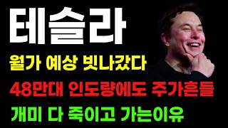 [테슬라 분석] 48만대 역대급 인도량! 세력 급하게 흔드는이유! 개미 여기서 다 털립니다!