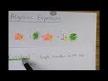Identifying Components of Algebraic Expressions