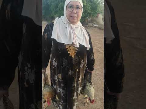 تبارك الله على هذا الخير اللهم بارك
