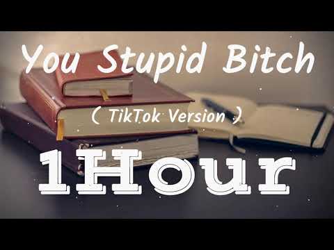 Girl In Red - You Stupid Bitch   | [ Lyrics ] | [ 1Hour ] [ Loop ] | [ TikTok Version ]