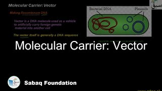 Molecular Carrier: Vector