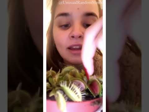 UNUSUAL MEMES COMPLITION pt 36 #shorts #memes #compilation #funnyvideo #funnymemes #trending