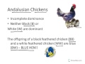 Genetic Traits and Inheritance Patterns