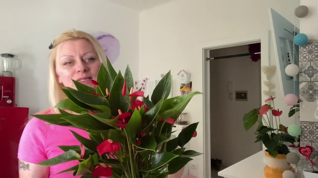 Влог украсила кухню купила себе подарок марина италия цветочный магазин моя кухня