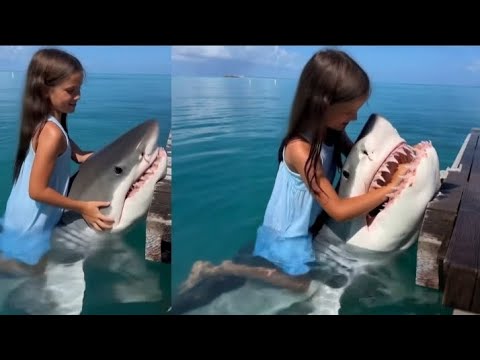 ELA NÃO SABIA DO PERIGO E O PIOR ACONTECEU - 11 VIDEOS ASSUSTADORES.