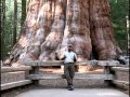 Exploración de Parques Nacionales en California