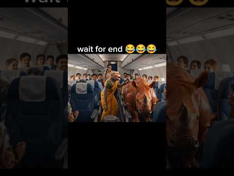 Bandar Bhai Ka lafra ho gaya monkey funny video #Aivlog #monkeyvlogMonkey#ViralAivlog#shorts